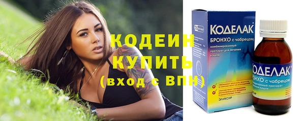 спиды Богородицк