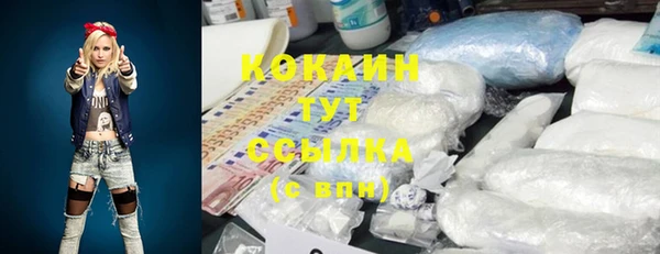 спиды Богородицк