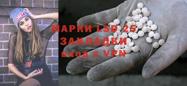 спиды Богородицк