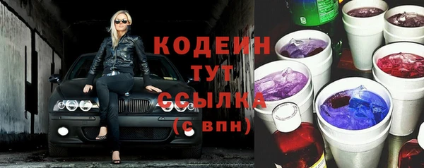 спиды Богородицк