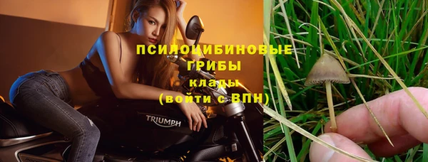 спиды Богородицк