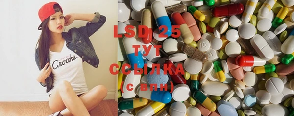 спиды Богородицк